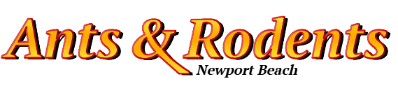 Newport Beach Ant Exterminator & Rodent Control Company Logo